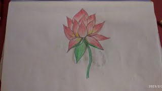 How to draw a lotus easily step by স্তেপ💕💕 সহজ কৌশলে পদ্ম ফুল আঁকা শিখুন  💕