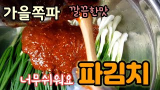 가을쪽파로  밥도둑 파김치 담그기