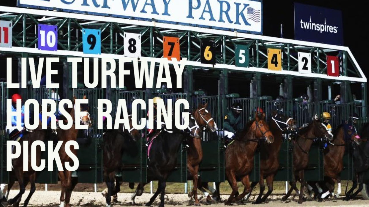 Live Turfway Park Horse Racing Picks - YouTube