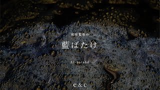 e\u0026c movie | 琉球藍染め 藍ばたけ | Ryukyu indigo | 琉球藍の栽培から泥藍づくり、染色までおこなう“琉球藍染め 藍ばたけ”さんの紹介映像