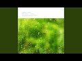 Under The Willow (Nature Ver.)