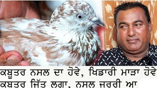 ਸੰਨ 92 ਚ' ਲਿਆ 4700 ਦਾ ਪਹਿਲਾ ਕਬੂਤਰ | Gulzar Sidhwan | Top Kabootar Baaz