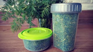 Frozen dill :: How to freeze dill properly to keep it fresh :: 🌿