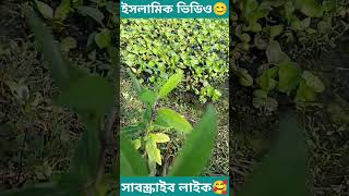 আপনি #তো সুখী হতে# চান তাহলে# পাঁচটি কাজ #কখনোই করবেন #না ইসলামিক# শর্ট ভিডিও#youtubeshorts 😝