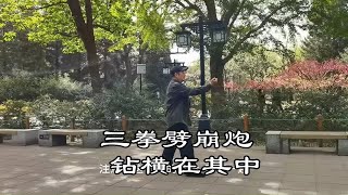 形意拳之五行拳钻拳练习法-张发智先生之功夫（12）