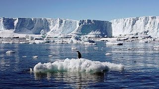 Un immense sanctuaire marin va voir le jour en Antarctique - world