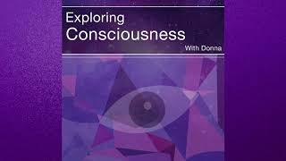 Exploring Consciousness: Donna Rebadow and Tom Campbell