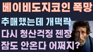 베이비도지코인 폭망 추매했는데 개떡락 다시  청산걱정. 잠도 안오고 내가 왜 이 미친짓을 했을까? 정신 바짝 차려야 하는데 제네시스코인 루나클래식 USTC 다들 삐리 하다