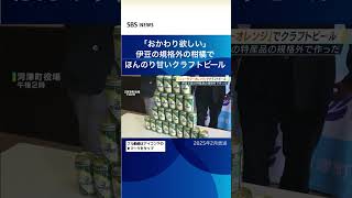 ＠「おかわり欲しい」伊豆の規格外柑橘でほんのり甘いクラフトビール＃SSBSNEWS＃shorts