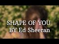 Shape of you(slowed and reverb) | 3AMUZIKK