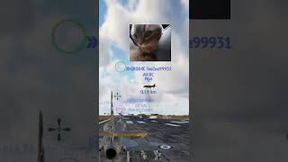 Chipi Chipi Cat in War Thunder😸🔥 #warthunder