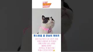 🩷펫스윗홈🩷강아지 고양이 케이프 따듯한 날씨 오늘은 뭐 입지?..고민 되시죠?!귀엽고 예쁜 니트 케이프!불편함 ZERO! 귀여움 UP!#강아지 #고양이 #강아지케이프 #고양이케이프