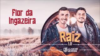 Júnior e Jorge - Flor da Ingazeira (CD Raiz 1.0)