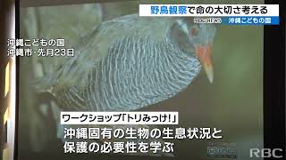 親子で野鳥観察　命の大切さを考えるワークショップを開催