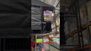 #costco #kennel #pets #dogs #shortsvideo #costcofinds #whatsgood #deals #costcogroceryhaul #foryou