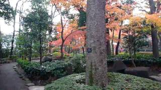 杉並区荻窪「大田黒公園の秋」