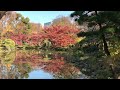 日比谷公園の紅葉スポット 2021年12月