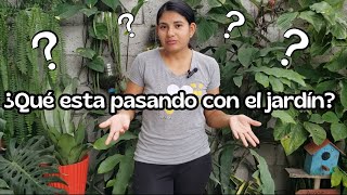 ¿Qué pasa con el jardín?