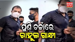 ପୁଣି ଚର୍ଚାରେ ରାହୁଲ ଗାନ୍ଧୀ  | Odia news live updates #pratidinaodisha