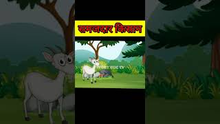 समझदार किसान की कहानी|Samjdar Kisan| #short #youtubeahorts #hindikahaniya