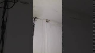 Water Pours Through Ceiling