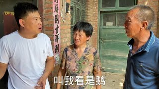 婆婆怀疑自己上当受骗，公爹埋怨华强安慰，常输姐夫躺着也中枪