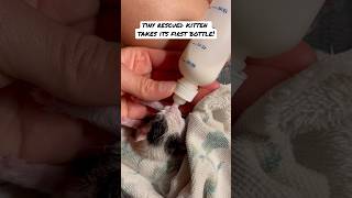 Several times of trying…The trick was to swaddle her gently #animals  #shorts  #fyp #cats  #kitten