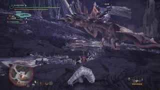 【腳趾】MHW:I 兩隻怪都紅眼怎麼辦