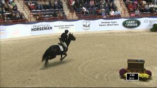 362 CORTES'C'   Beezie Madden   Jumpoff   Grand Prix de Penn National