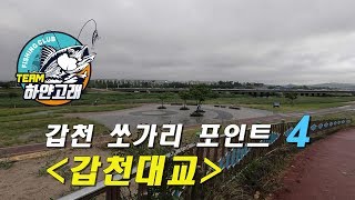 [하얀고래] 갑천 쏘가리 포인트4 - 갑천대교