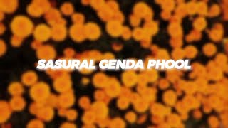 Sasural Genda Phool - (Slowed + Reverb) |