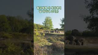 알아서 갈테니 재촉말라 전해라 🎶🎶🎶백세인생 가사첨부 이애란