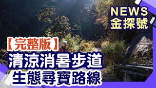 避暑步道輕鬆走 生態尋寶玩樂路線【News金探號 20220703】