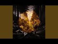 footsteps on the lofi trail