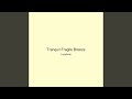 Tranquil Fragile Breeze