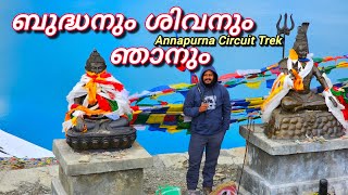 Annapurna circuit trek |Throng La Pass |4k |  Solo Trekking #travel #trending #soloyathra #ytvideoes