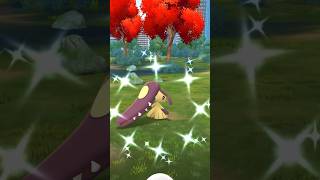 【ポケモンGO】レイドデイ色違いクチートGET#shorts