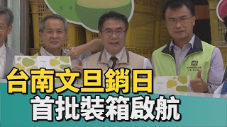 農產｜中秋應景文旦台南開始採收 首航外銷日本