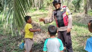 Demi uang jajan sekolah rela cari berondolan sawit di kebun milik warga