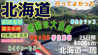 【夏の北海道旅行5】後悔しない！感動！行ってよかった観光ベスト5をご紹介｜釧路湿原｜別阿寒牛｜霧多布岬｜コープはまなか【釧路･厚岸】車中泊,ご当地グルメ,花咲蟹,牡蠣,ラッコ,ヨンゼロソフト,バイク旅