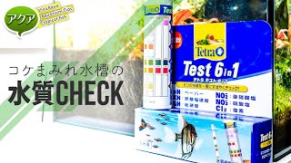 コケまみれ水槽の水質チェック！Tetra Test 6in1 #アクアリウム 【ビバアクア】