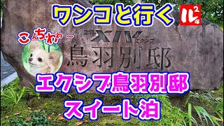 【ワンコと行く】エクシブ鳥羽別邸