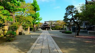 【鎌倉散歩】『大巧寺』から『本覚寺』へ［4K］：Daigyouji Hongakuji