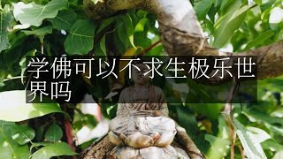 【人间修行录】 学佛可以不求生极乐世界吗