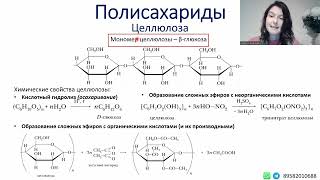 Полисахариды. Крахмал и целлюлоза