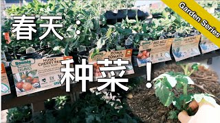 春天, 种菜! - 设置菜园滴灌系统 - Howto setup garden drip watering system | KK和Kathy 的后花园