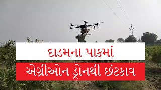 એગ્રીઓન ડ્રોન દ્વારા દાડમમાં છંટકાવ | AgriOwn Drone