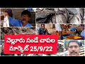 nellore sunday fish market 25 9 22 నెల్లూరు సండే చాపల మార్కెట్ లైక్ షేర్ సబ్స్క్రయిబ్ థాంక్యూ