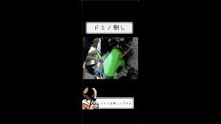 【立ちゴケ】ドミノ倒し ninja250 CB40SF #shorts #motovlog