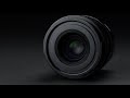 Sigma 35mm f/2 DG DN Contemporary Lens Review